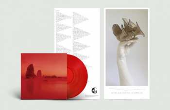 LP Gang Gang Dance: Kazuashita