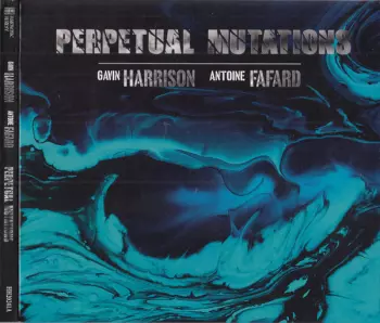 Gavin Harrison: Perpetual Mutations