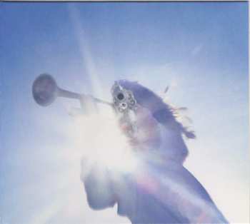 CD Geese: Getting Killed