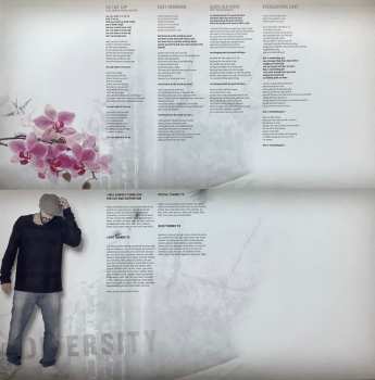 2LP Gentleman: Diversity CLR | LTD