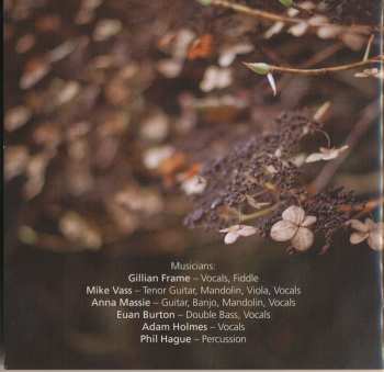 CD Gillian Frame: Pendulum