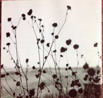 CD Gillian Welch: Revival