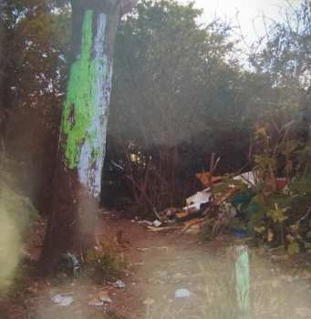 CD Goldie Lookin Chain: Greatest Hits