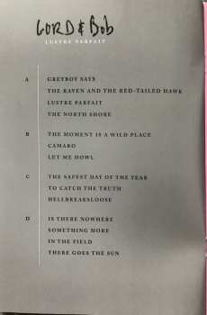 2LP Gordon Downie: Lustre Parfait