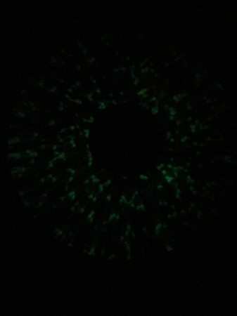 LP Green Jellÿ: Cereal Killer Soundtrack