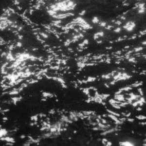 Album Grouper: A I A