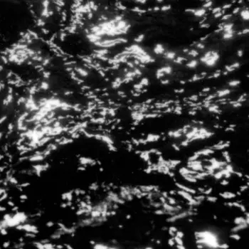 Grouper: A I A : Dream Loss