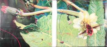 CD Gryphon: Reinvention