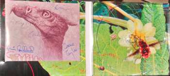 CD Gryphon: Reinvention