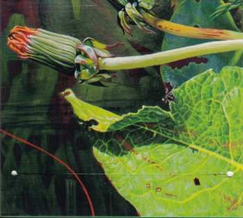 CD Gryphon: Reinvention