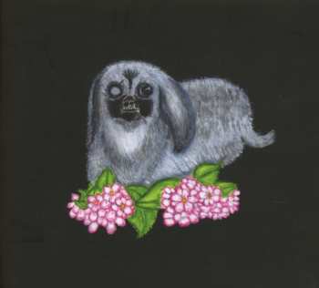 CD Guadalupe Plata: Guadalupe Plata