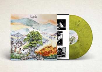 LP Guranfoe: Sum Of Erda LTD | CLR