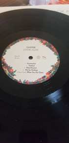 LP Guster: Look Alive