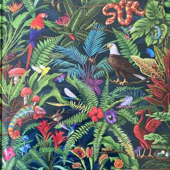 2LP Haken: Fauna LTD | CLR