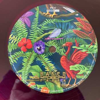 2LP Haken: Fauna LTD | CLR