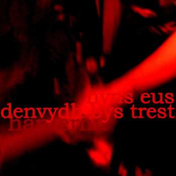 CD Hanterhir: There Is No One To Trust (nyns Eus Denvydth Bys Tr