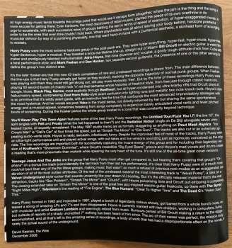 2LP Harry Pussy: You'll Never Play This Town Again