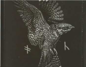 CD Hate: Auric Gates Of Veles