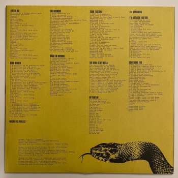 LP Haust: Negative Music