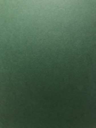 LP Hayden: Are We Good