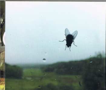 CD Hazmat Modine: Box Of Breath