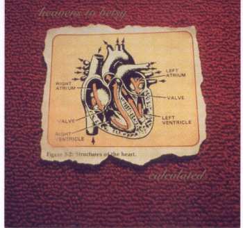 CD Heavens To Betsy: Calculated