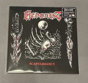LP Hedonist: Scapulimancy CLR | LTD