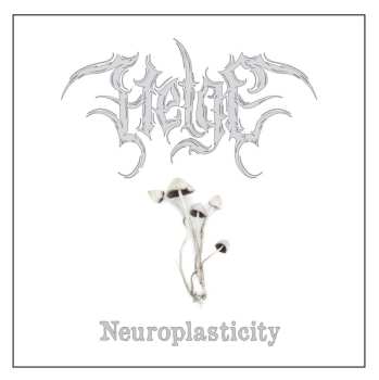 LP Helge: Neuroplasticity