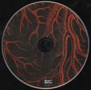 CD Hell City: Flesh & Bones