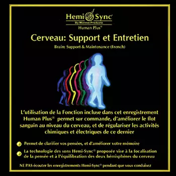Cerveau:support Et Entr