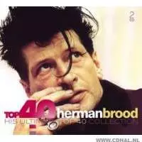 Top 40 Herman Brood (His Ultimate Top 40 Collection)