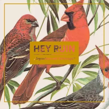 Irgendwas Mit Dschungel