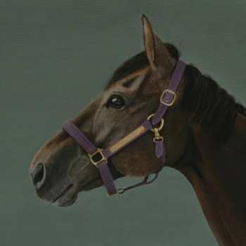 Album Hikari Ichihara: Brain Candy