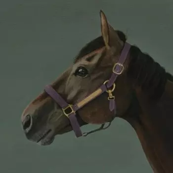 Hikari Ichihara: Brain Candy