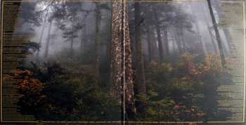 LP Hippie Death Cult: 111 LTD | CLR