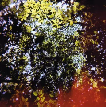 Butterfly Horse Street