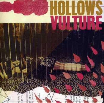 Album Hollows: Vulture
