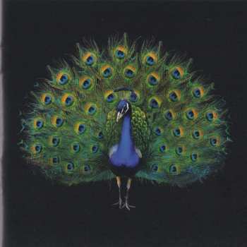 CD Holy Holy: Hello My Beautiful World