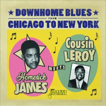 Downhome Blues From Chicago To New York