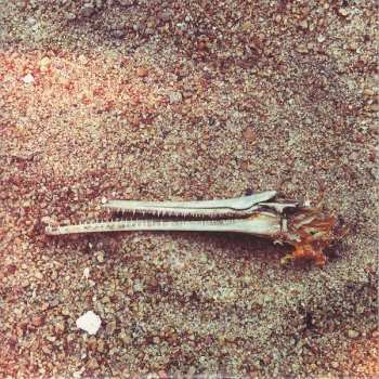 SP Hospital Ships: Mary Of Quito / Seed Song CLR | LTD