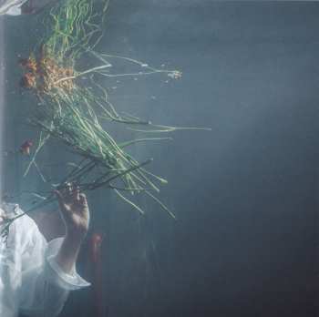 CD Hozier: Wasteland, Baby!