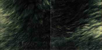 CD Hudba Praha: Divoký Srdce