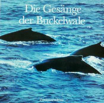 LP Humpback Whale: Die Gesänge Der Buckelwale