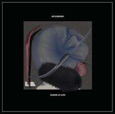 LP Ian Drennan: Flower Of Love