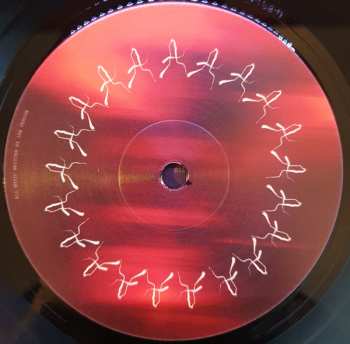 LP Ian Person: Autoimmune