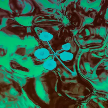 An Ever​-​Growing Meridional Entertainment Transgression At The Edge Of The Multiverse