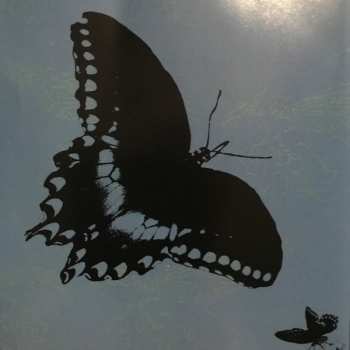 CD Ikue Mori: Class Insecta