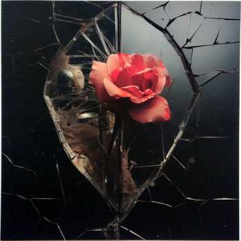 LP Ilse DeLange: Tainted