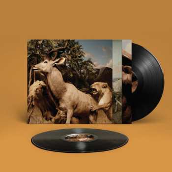 2LP Interpol: Our Love to Admire