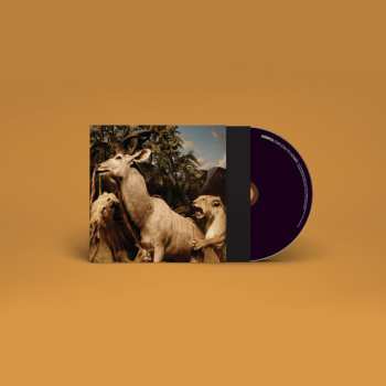 CD Interpol: Our Love To Admire